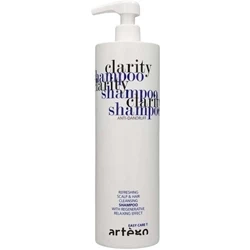 ARTEGO Easy Care T Clarity Szampon 1000 ml